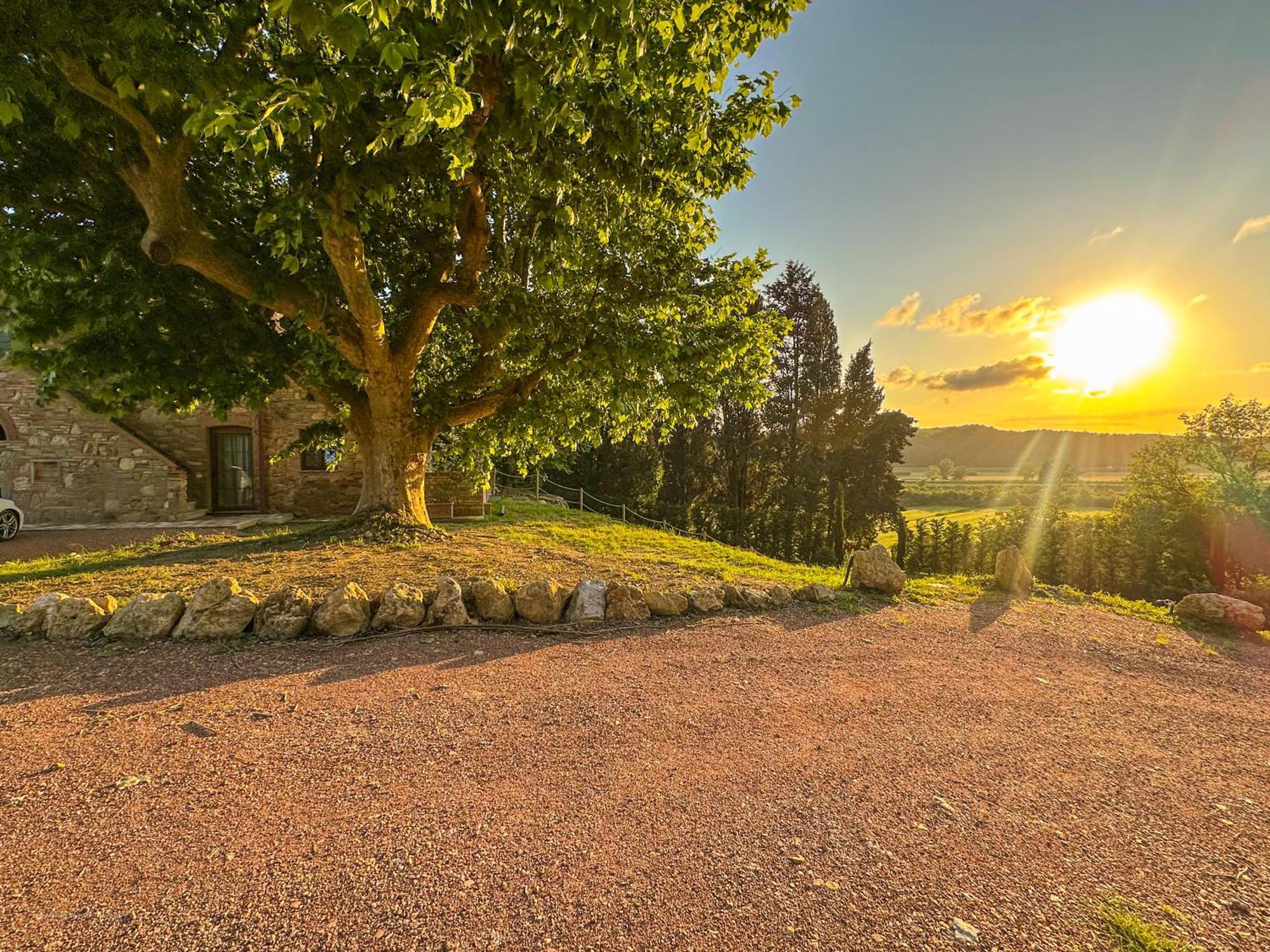 Agriturismo Tenuta I 4 Venti 科莱萨尔韦蒂 外观 照片